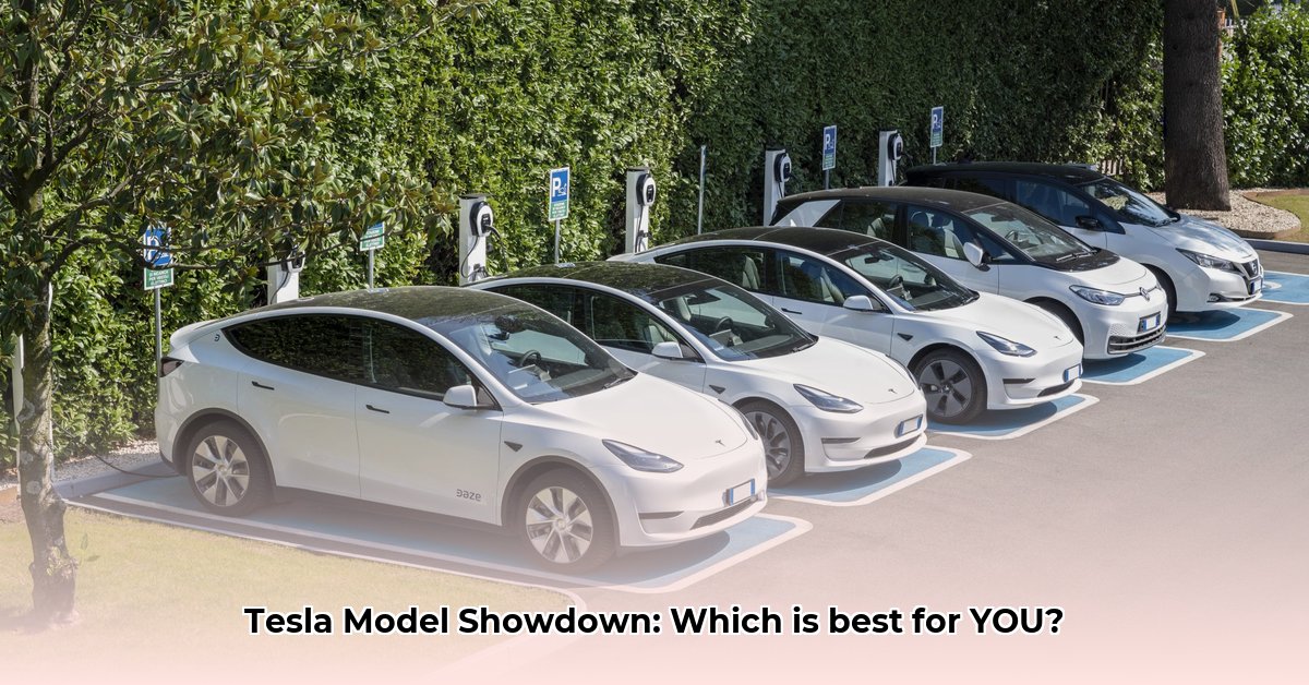tesla model comparison